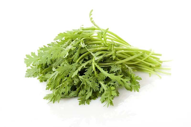 我國研發(fā)氮肥利用率提升新技術(shù)，實現(xiàn)減肥增產(chǎn)